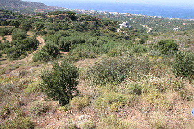 land for sale crete GY1c